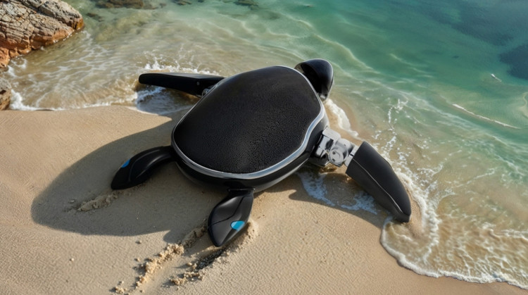 le robot piscine RoboTurtle de Beatbot