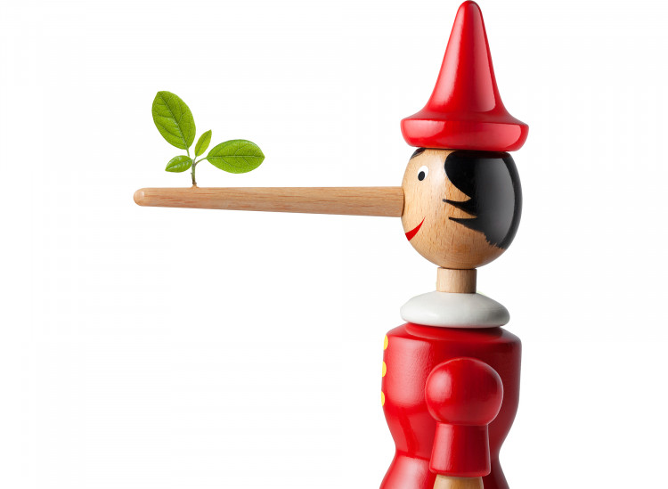 dessin pinocchio &copy;mal erapaso