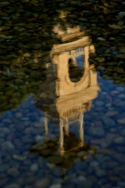 reflection in the water