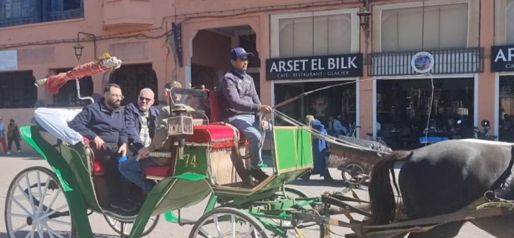 promenade en calèche à Marrakech concours KECh K-Link 2024 Klereo