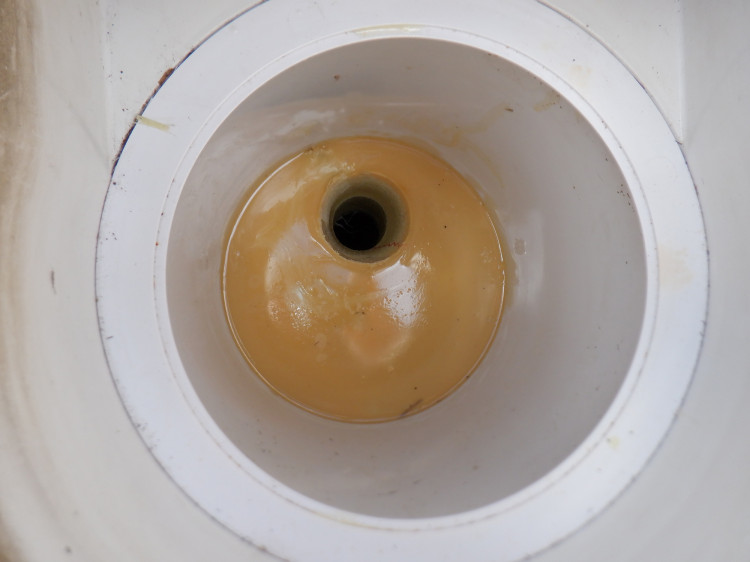 skimmer apr&egrave;s chemisage du fond Locamex