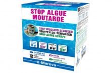 Stop Algue Moutarde di Mareva: il trattamento completo e infallibile per la piscina
