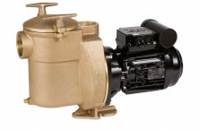 Pentair 5BR: a benchmark pool pump designed to last
