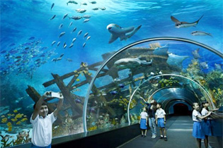 Southern Asia Aquarium on Sentosa